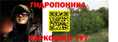 прущие крисы Кулебаки