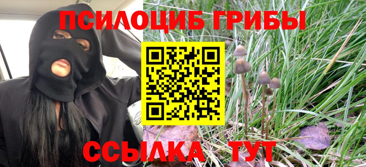 Галлюциногенные грибы Magic Shrooms Жигулёвск