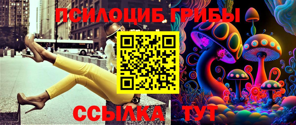 Псилоцибиновые грибы MAGIC MUSHROOMS  купить наркотик  Вход с VPN  Жигулёвск  Галлюциногенные грибы Magic Shrooms 